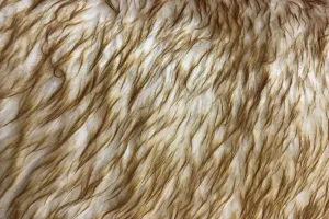 F1: Brown Gold Creamy Blend Faux Fur - 23